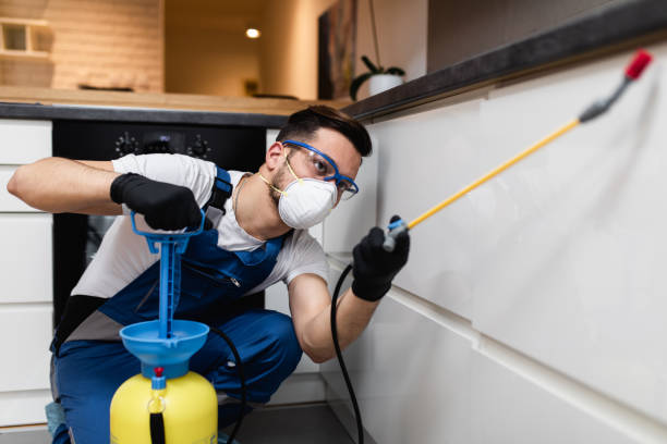 Best Exterminator Services  in Badger, AK