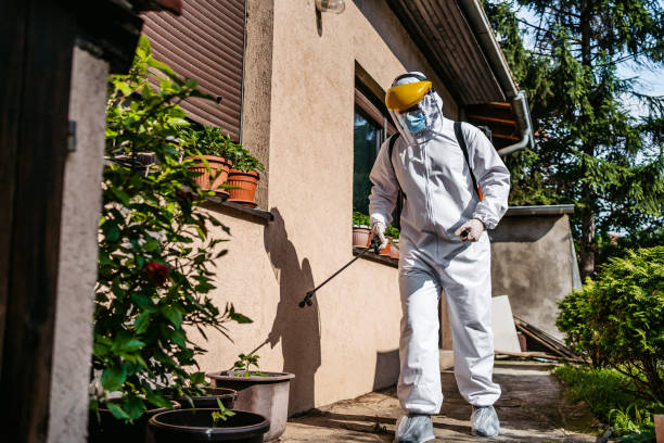 Best Affordable Pest Control Services  in Badger, AK