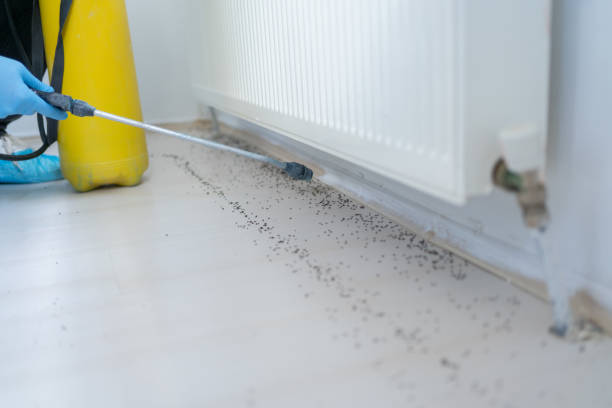 Best Best Pest Control Companies  in Badger, AK